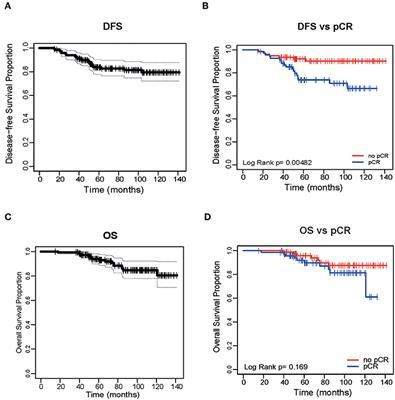 PAM50 Subtypes in Baseline and Residual Tumors Following Neoadjuvant Trastuzumab-Based Chemotherapy in HER2-Positive Breast Cancer: A Consecutive-Series From a Single Institution